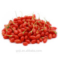 Großhandel getrocknete wilde Goji Berry Ningxia Bulk